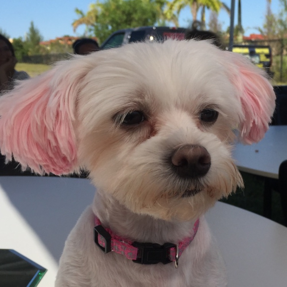 Meet your Posher, Claudia